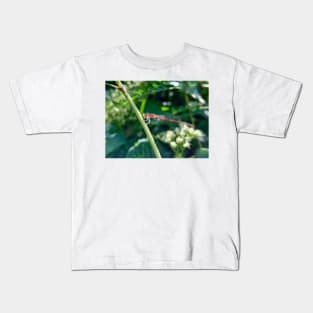 Red Dragonfly Eating Small Butterfly Kids T-Shirt